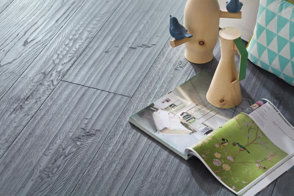 ROVERE PLAURIS
